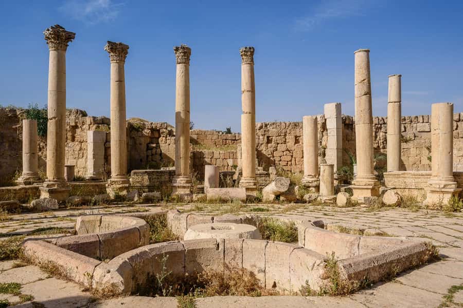 From Amman : Full day tour - Jerash and the Dead sea. - Jerash and the Dead Sea, paired in a smart 9-hour loop
