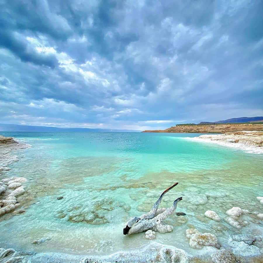 From Amman: Half-Day Tour to Dead Sea - Key things I’d watch for before you go