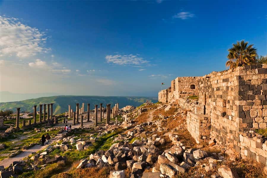 From Amman: Jerash, Ajloun Castle or Umm Qais Private Tour - Price and Value at $59: What You Pay For, What Costs Extra