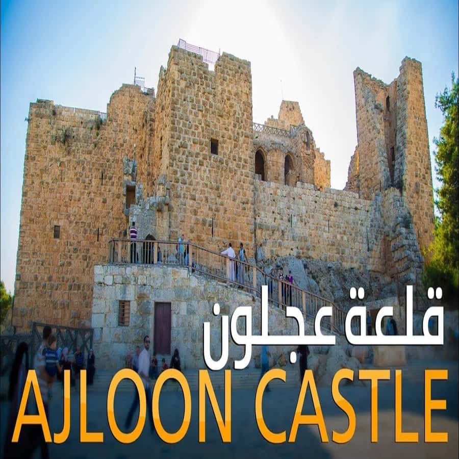 From Amman: Jerash &Ajloun &Um Qais Private Tour - Quick hits before you go