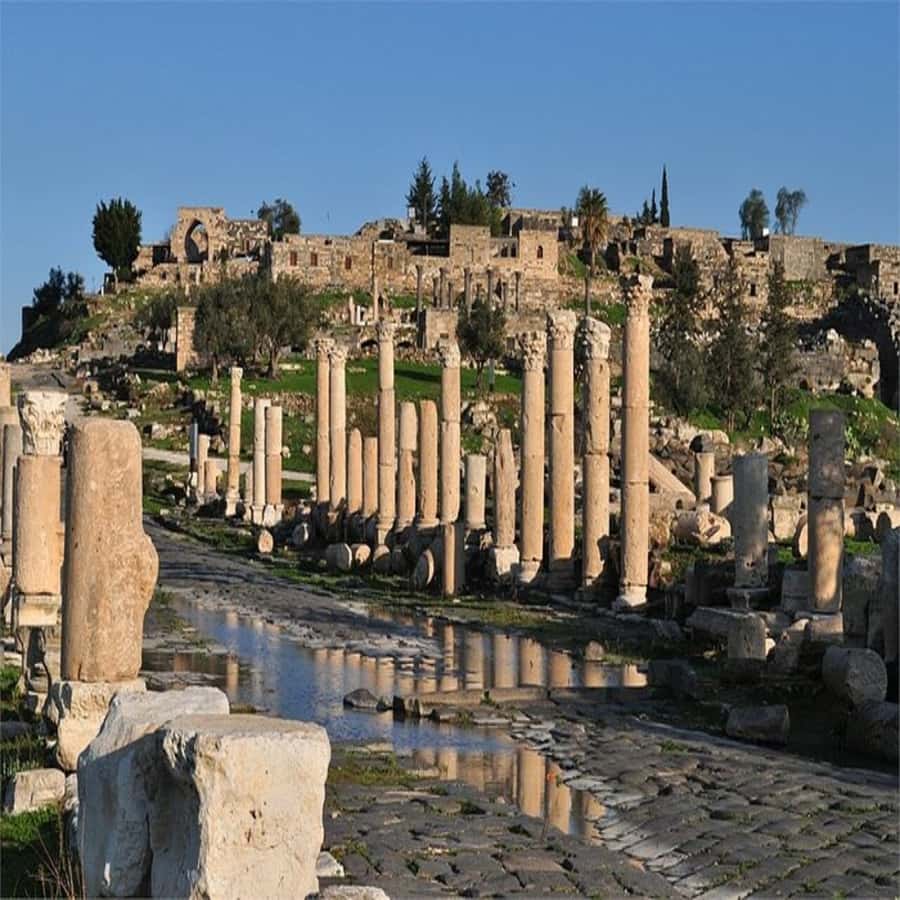 From Amman: Jerash &Ajloun &Um Qais Private Tour - Where Um Qais might fit, and how to choose the right option