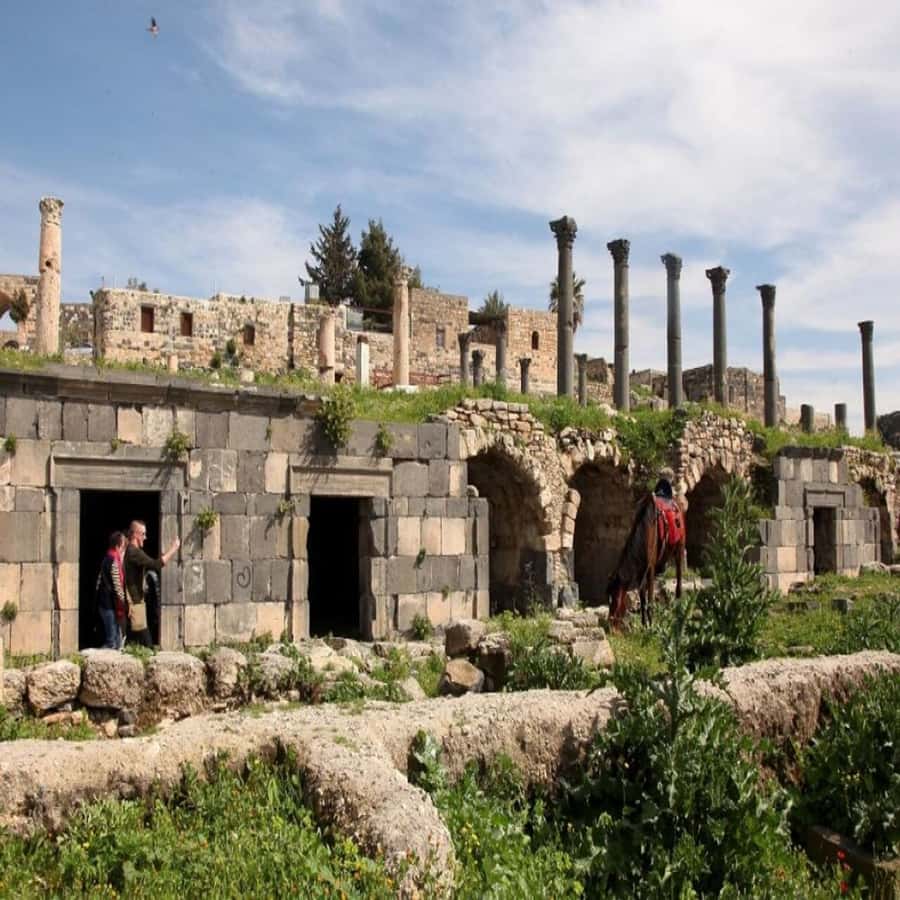 From Amman: Jerash &Ajloun &Um Qais Private Tour - Price and value: what $70 actually buys you