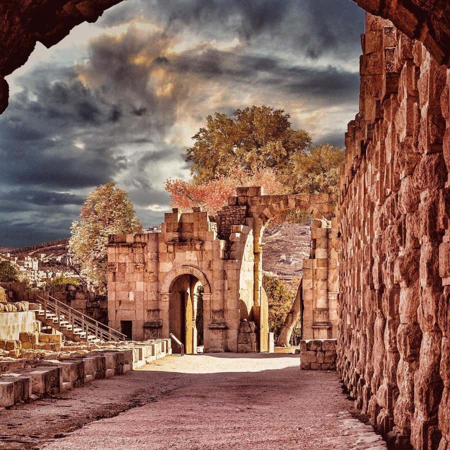 From Amman: Jerash &Ajloun &Um Qais Private Tour - How long is this day, and what kind of day will it be?