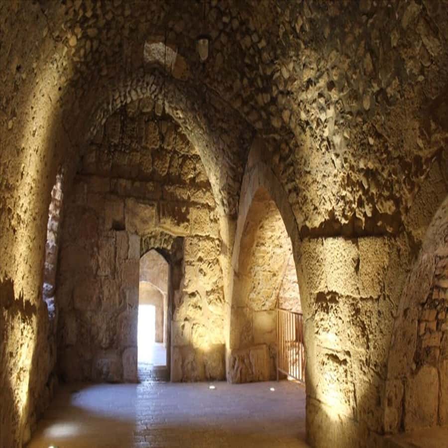 From Amman: Jerash &Ajloun &Um Qais Private Tour - Getting picked up, staying comfortable, and keeping your timing sane
