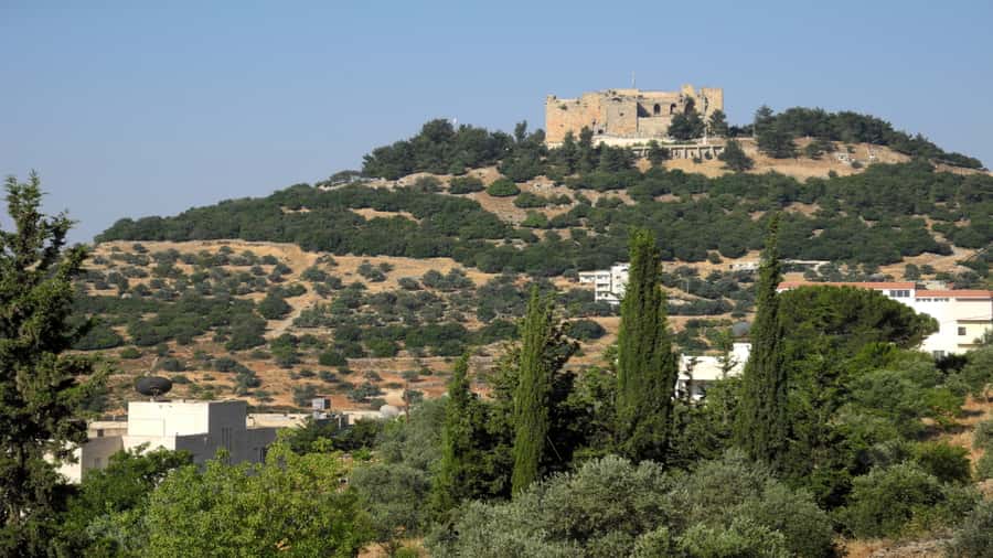 From Amman: Jerash and Ajloun Day Tour - Jerash: Roman streets you can actually walk through