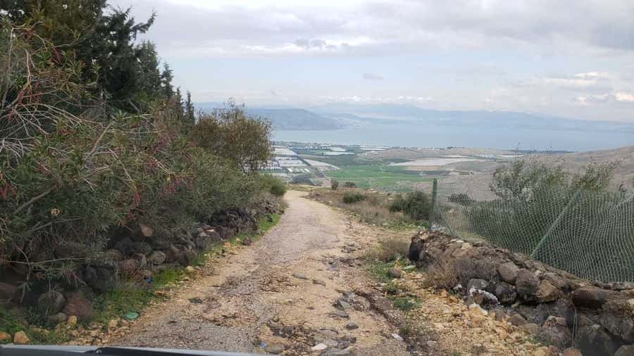From Amman: Jerash, Umm Qais, and Jesus' Cave Private Trip - The 10-Hour Rhythm From Amman, and Why It Matters