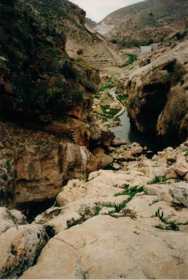 From Amman: Jerash, Umm Qais, and Jesus' Cave Private Trip - What’s Included, What’s Optional, and How to Avoid Surprises