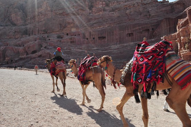 From Amman: one day tour to Petra - Pickup at 08:00 and the Long-Day Rhythm