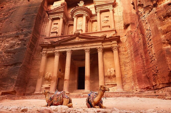 From Amman: Petra and Wadi rum Full day Tour - Who This Tour Fits Best (and Who Might Be Happier Elsewhere)