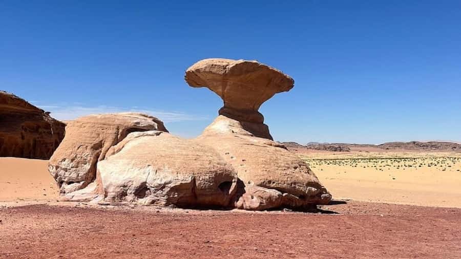 From Amman: Petra, Wadi Rum, and Dead Sea Private 2-Day Trip - Petra Day: Siq to Treasury, Plus a Horse Ride Reset