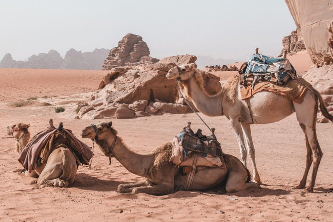 FROM AMMAN | Petra & Wadi Rum in one day | The Jordanian Mappers - Who This Tour Suits Best, and Who Should Rethink It