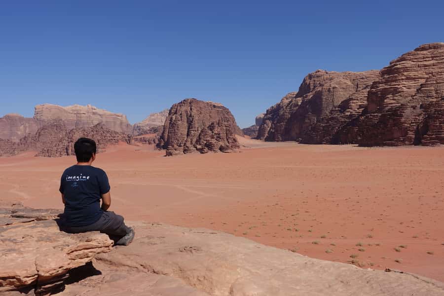 From Amman: Petra & Wadi Rum Private or group Day Tour - Should you book this Petra and Wadi Rum day trip?