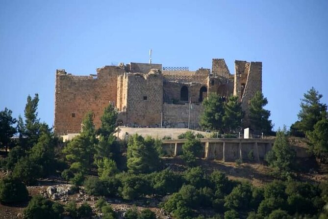 From Amman :Private day tour to Jerash and Ajloun - Ajloun Castle: 12th-century hilltop fortress and what to look for