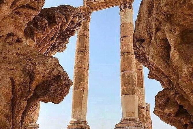 From Amman :Private day tour to Jerash and Ajloun - Private tour value: what you gain for your $80 per person