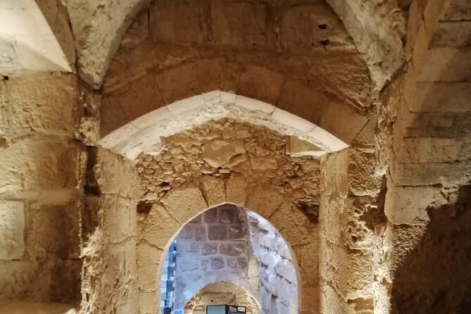 From Amman: Private Full Day Group Tour Jerash Ajloun and Amman - Key highlights to know before you go