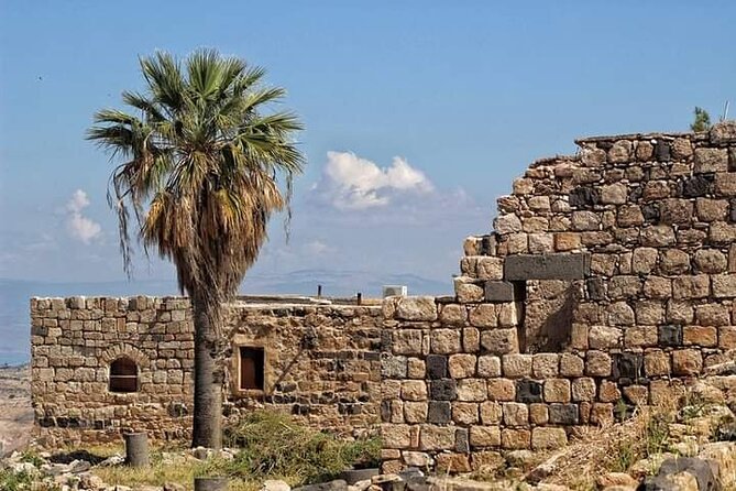 From Amman: Private Full Day Tour Jerash Ajloun & Um Qais - Who should book this tour, and who might prefer something else