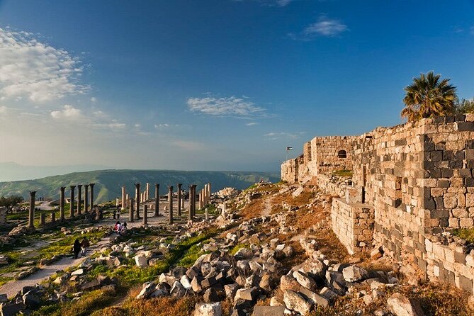 From Amman: Private Full Day Tour Jerash Ajloun & Um Qais - Jerash Ruins: walking one of the Middle East’s best-preserved Roman cities