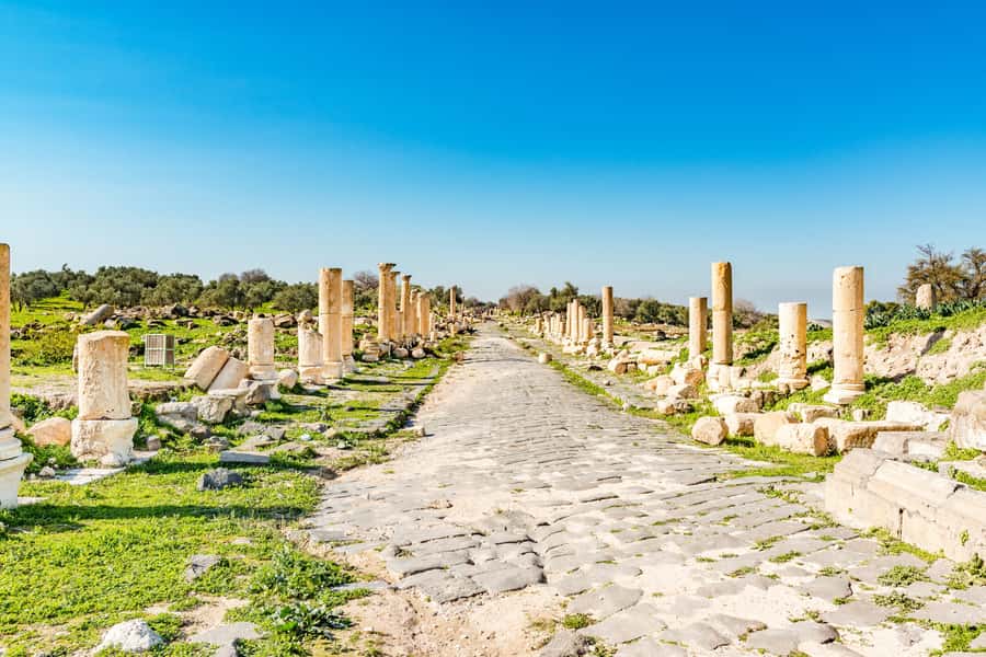 From Amman: Private Jerash, Ajloun Castle, and Umm Qais Tour - Jerash Roman Ruins: A Self-Guided Walk That You Can Control