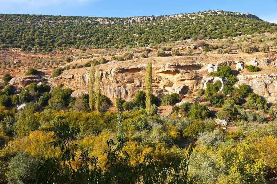 From Amman: Private Jerash, Ajloun Castle, and Umm Qais Tour - Price and Value: What You Pay for at $57 Per Person