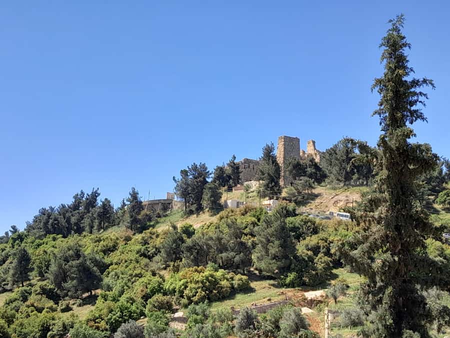 From Amman: Private Jerash, Ajloun Castle, and Umm Qais Tour - Should You Book This Private Jerash, Ajloun, and Umm Qais Day Trip?