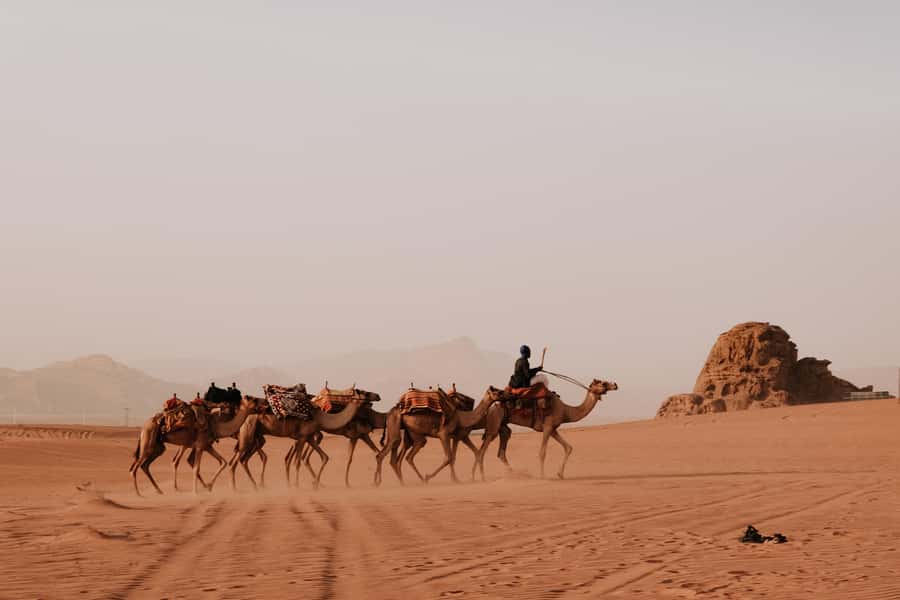From Amman: Private or sharing Petra &Wadi Rum Full day Tour - Monastery Option: Why That Climb Can Be Worth It