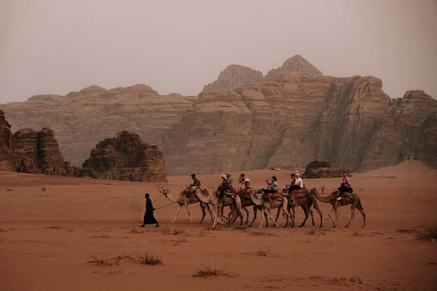 From Amman: Private or sharing Petra &Wadi Rum Full day Tour - Bedouin Tea Ceremony and People Time That Feels Real