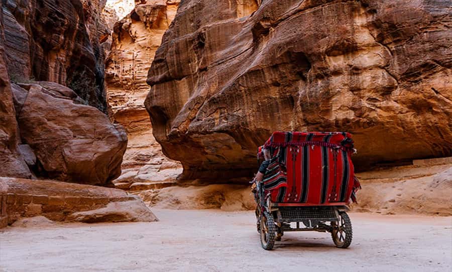 From Amman: Private Petra Day Trip with Guide - The classic Petra walk: Theater, Royal Tombs, and the Byzantine Church
