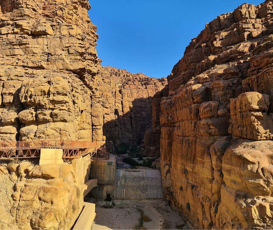 From Amman:To Al-Mujib Canyon & Dead Sea Salt Beach Day Trip - Back to the Vehicle: How Drivers Add Value