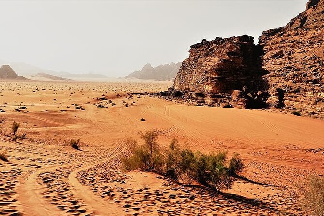 From Amman to Petra and Wadi rum ( Private two days) - Day 2 in Wadi Rum: Jeep Tour Time and Desert Sky Moments