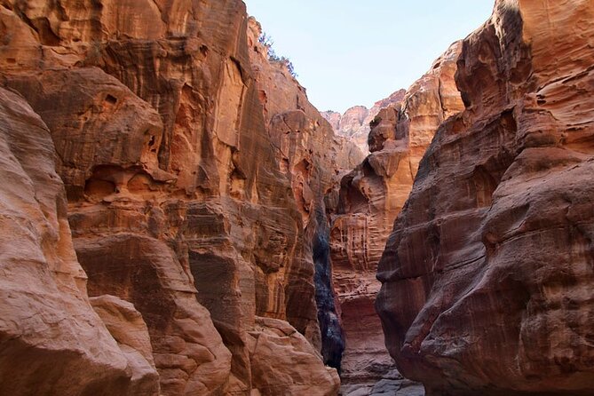 From Amman to Petra and Wadi rum ( Private two days) - The Private Driver Factor: Why Reviews Keep Returning to It