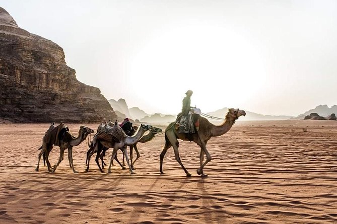 From Amman to Petra and Wadi rum ( Private two days) - What This Tour Does Well for Different Types of Travelers