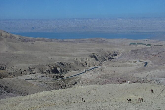 From Amman to West ( Madaba, Mt Nebo, baptism site and dead sea) - Price and What $400 Per Group Really Covers