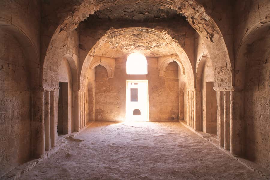 From Amman: Umayyad Desert Castles Tour with Transfer - Who should book this Umayyad desert castles tour?