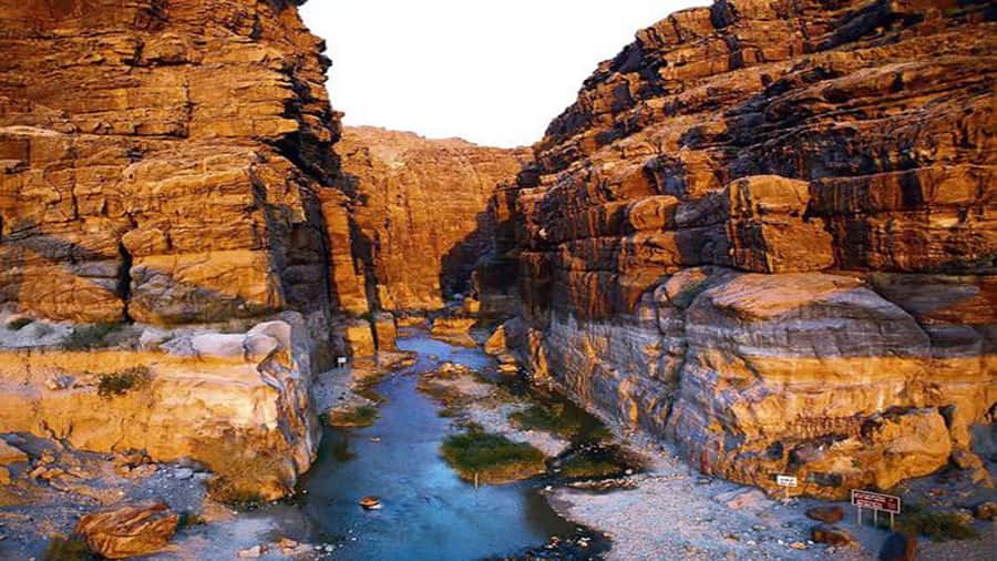 From Amman: Wadi Mujib Siq Trail Private Hiking Tour - Your 8:00 Pickup, Scenic Drive, and the Mujib Bridge Approach