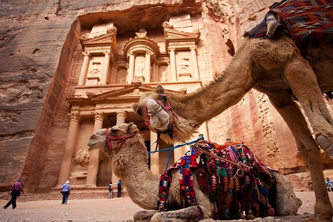 From Aqaba a Day Excursion to Petra - Pickup, ride comfort, and how to use the morning hours