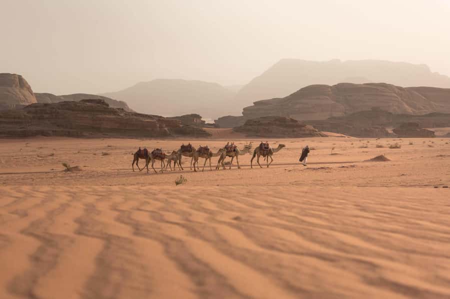 From Eilat, Jerusalem, Tel Aviv: Petra & Wadi Rum 3-Day Tour - Key things that make this Petra and Wadi Rum combo work