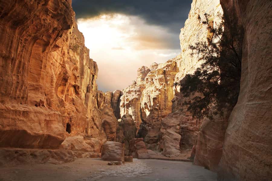 From Eilat: Petra Day Private Tour - Petra in a single day, starting from Eilat