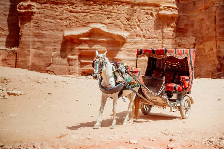 From Tel Aviv: Petra 1-Day Guided Tour with Transfers - Who This One-Day Petra Trip Fits Best