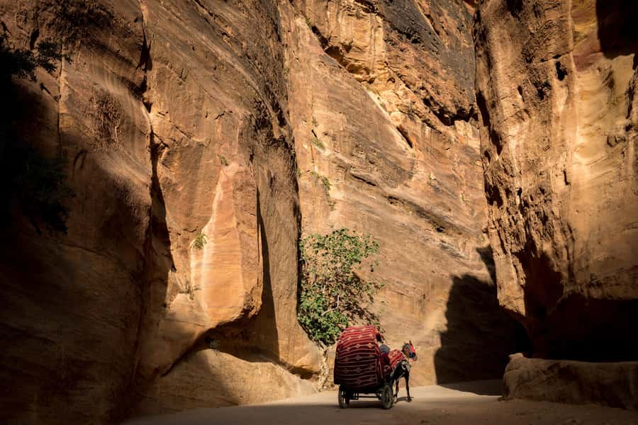 From Tel Aviv: Petra and Wadi Rum 3-Day Tour - Petra guided through the Siq to the Treasury, then your own pace
