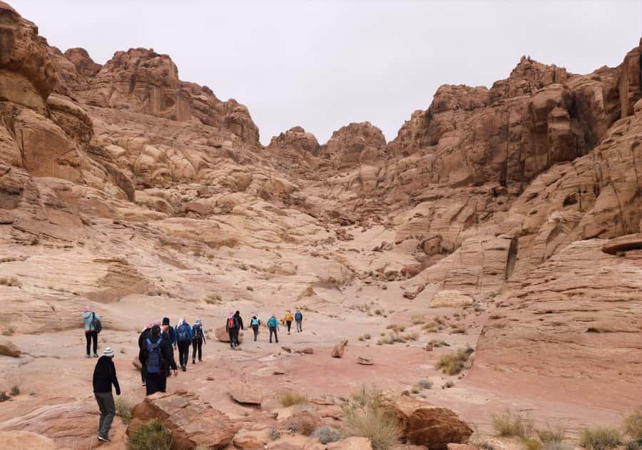 From Wadi Rum: 2-Day Hiking Adventure and Jeep Tour - Jeep time in Wadi Rum: getting to the famous stops efficiently