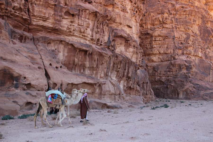 From Wadi Rum: Camel Ride Experience with Tea and Guide - The 4WD drive into the desert, quick and purposeful