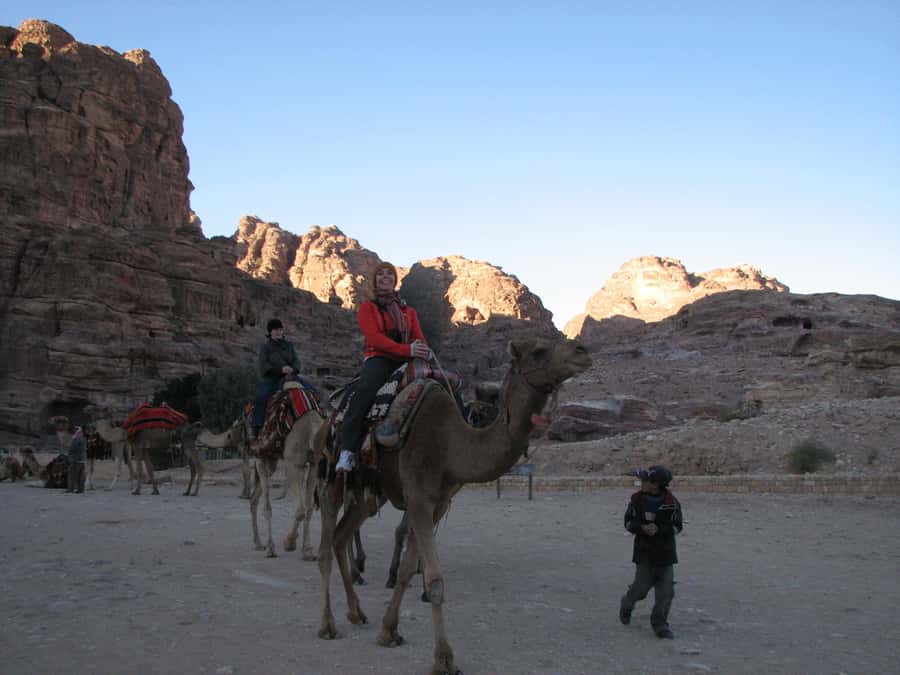 From Wadi Rum: Camel Ride Experience with Tea and Guide - Meeting point at Wadi Rum Rest House, and what to verify