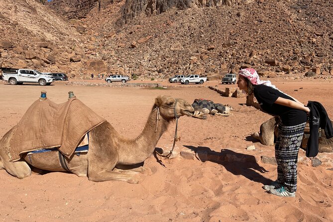 Full Day 4x4 Classic Desert Tour with overnight in private tent - Sunset in Wadi Rum, Then Dinner and Stars at Camp