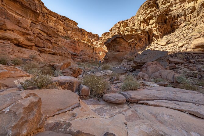 Full-Day 8 Hour Jeep Tour into Wadi Rum Protected Area with Stay - Stop 5, Mushroom Rock: the rock pedestal that looks like a clue