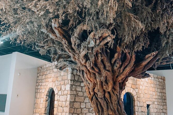 Full Day Amman Private City Tour - Old city center and Al-Husseini Mosque: local texture between landmarks