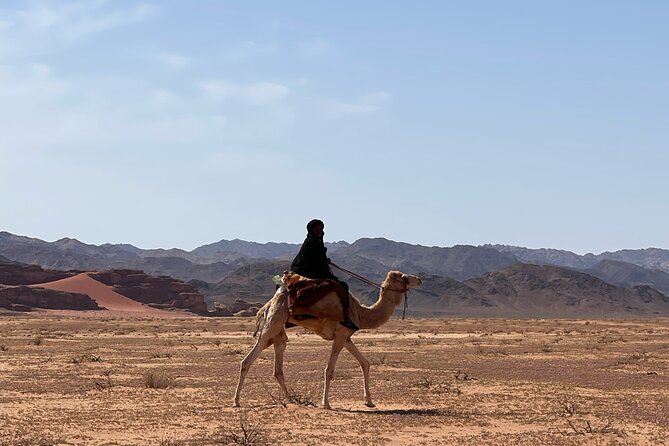Full-Day Hiking in Wadi Rum's Desert with Lunch - Khazali Canyon and the Old Bedouin Inscriptions