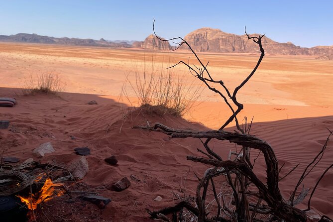 Full-Day Hiking in Wadi Rum's Desert with Lunch - Bedouin Lunch and Tea in Mountain Shade