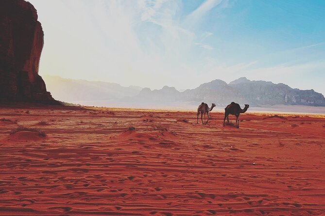 Full Day Jeep and Camel Tour - Um Frouth Rock Arch and the second arch stop: short climbs, serious views