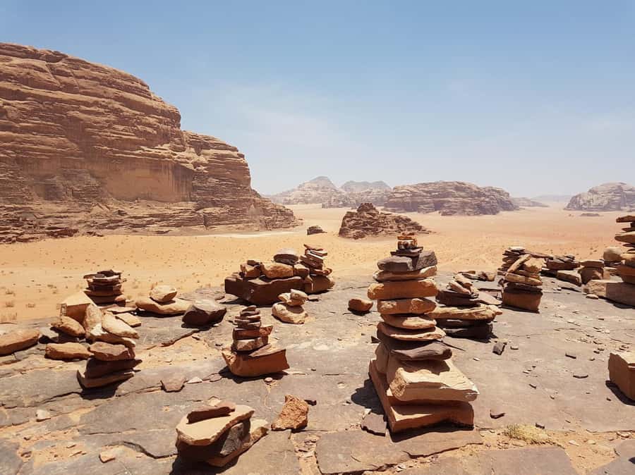 Full Day Jeep Tour ( Lunch) Wadi Rum Desert Highlights - Price and value for an 8-hour jeep tour at $60