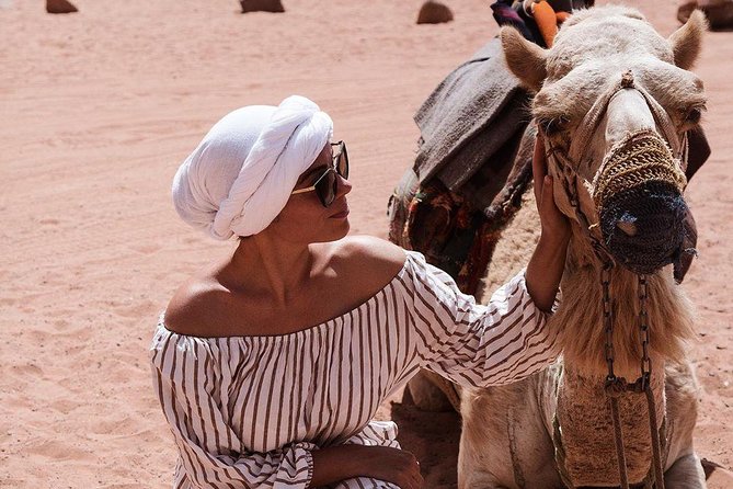 Full-Day Jeep Tour & Overnight - Nabatean Temple, Lawrence Spring, and inscription hunting that feels hands-on